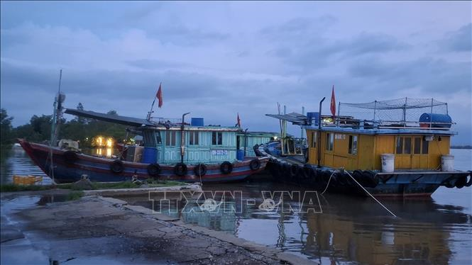 Ứng phó bão số 1: Mưa to và gió lớn khiến cây gãy đổ, trôi bè nuôi hải sản ở Quảng Ninh